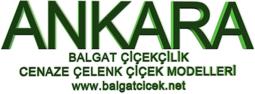 Ankara balgat cenaze �i�ek modelleri