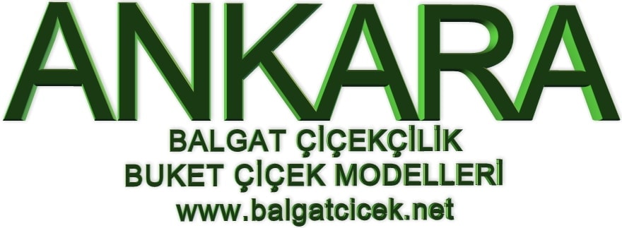 Ankara balgat �i�ek�i