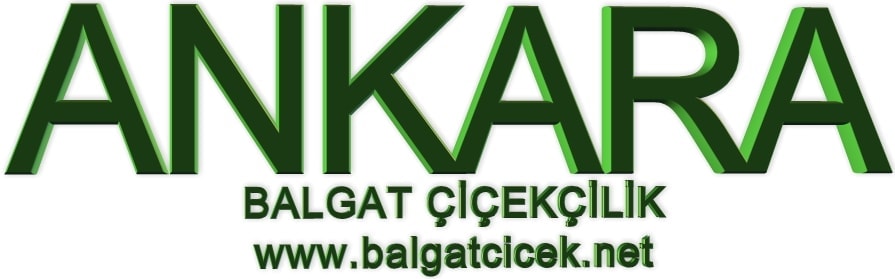 Ankara balgat H�rriyet �i�ek�ileri