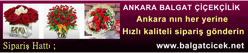 �i�ek�i H�rriyet H�rriyet Ankara