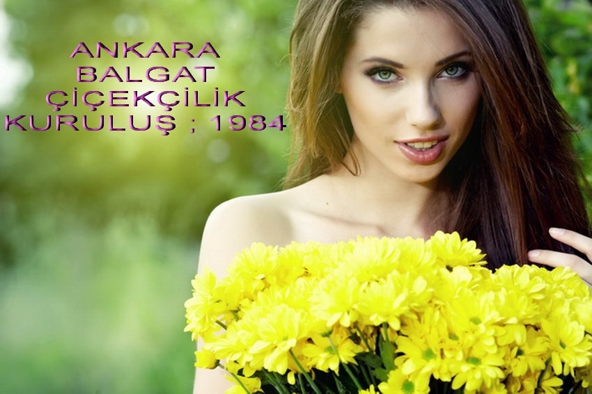 Ankara H�rriyet H�rriyet �i�ek�ilik