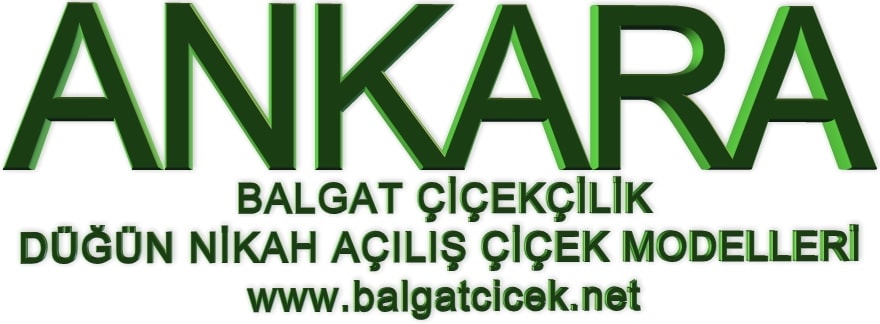 Ankara d���n nikah a��l�� �i�ek modelleri