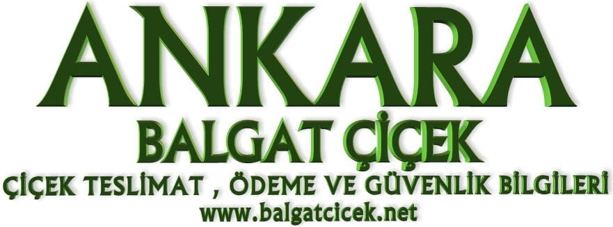 Ankara �i�ek teslimat �deme bilgileri