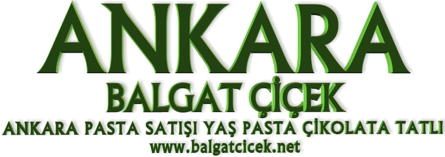 Ankara pasta sat���