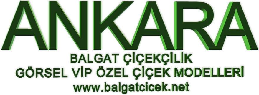 �i�ek sipari�i ankara balgat