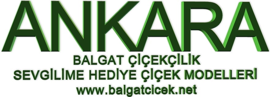 �i�ek�i ankara dikmen balgat