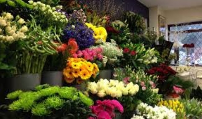 Ankara �i�ek�i H�rriyet firmalar�