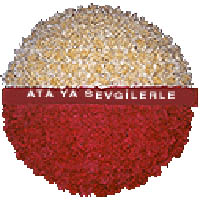 Ankara Balgat �i�ek�i firmam�zdan An�tkabir i�in �i�ek �elenk modeli
