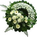 Ankara Balgat Elvankent �i�ek�i firma �r�n�m�z cenazeye �i�ek �elenk modeli Ankara �i�ek g�nder firmas� �ahane �r�n�m�z 