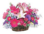 Ankara Balgat �i�ek�i d�kan� en �ok sat�lan �r�n�m�z k�r �i�e�i sepeti Ankara �i�ek g�nder firmas� �ahane �r�n�m�z 