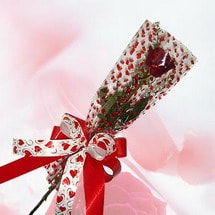 Ostim ve Ankara i�in g�rsel bir tanzim masumane tek k�zm�z� g�l