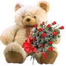 Ankara Balgat Ba�lum �i�ek�i firma �r�n�m�z 9 adet g�l ve orta boy ay�c�k