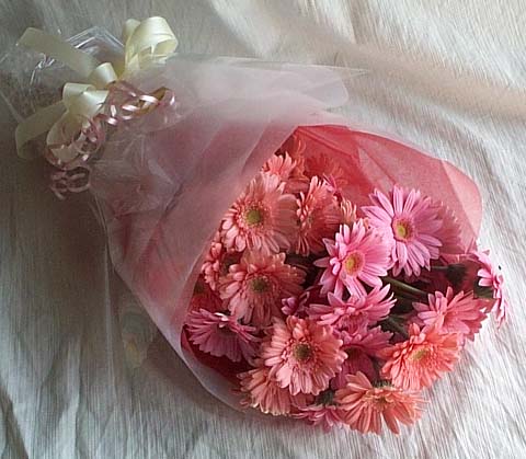 Ankara Balgat �i�ek g�nderimi site �r�n�m�z 13 adet gerbera �i�ek buketi