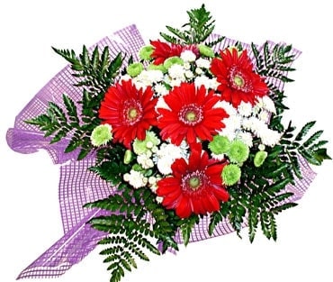 Ankara Balgat �entepe �i�ek�i firma �r�n�m�z taze kar���k k�r �i�ekleri demeti
