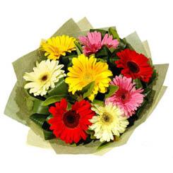 Ankara Balgat Ke�i�ren �i�ek�i firma �r�n�m�z Kar���k renkte gerbera �i�ekleri