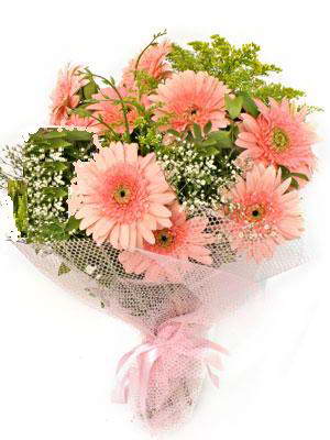 Ankara Balgat Bat�kent �i�ek�i firmas� �r�n�m�z taze k�r �i�ekleri gerbera demeti