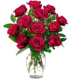 Ankara Balgat de farkl� bir �i�ek firmas� �r�n�  Sevgiye hasret g�lleri Ankara �i�ek g�nder firmas� �ahane �r�n�m�z 