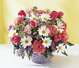 Ankara Balgat �i�ek�i d�kan� en �ok sat�lan �r�n�m�z Sepette Kar���k mevsim sepeti �i�e�i Ankara �i�ek g�nder firmas� �ahane �r�n�m�z 