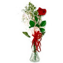 Kaliteli ve fiyat� ucuz bir �r�n Cam i�inde masum tek g�l Ankara �i�ek g�nder firmas� �ahane �r�n�m�z 