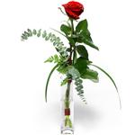 Ankara Balgat �i�ek sipari�i sitemizin g�rsel �r�n� Camda sadece tek k�rm�z� g�l Ankara �i�ek g�nder firmas� �ahane �r�n�m�z 