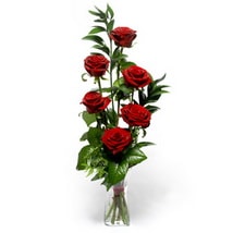 Ankara Balgat Yenimahalle �i�ek�i firma �r�n�m�z vazo i�erisinde 5 adet g�l Ankara �i�ek g�nder firmas� �ahane �r�n�m�z 
