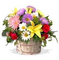 Ankara Balgat �i�ek sipari�i sitemizin g�rsel �r�n� k�r �i�eklerinden mevsim sepeti Ankara �i�ek g�nder firmas� �ahane �r�n�m�z 