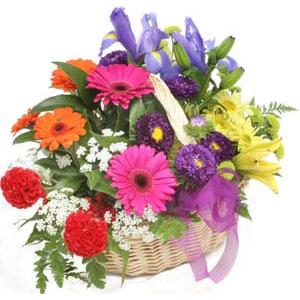 Ankara Balgat �i�ek sipari�i sitemizin g�rsel �r�n� Kar���k mevsim sepeti �i�e�i Ankara �i�ek g�nder firmas� �ahane �r�n�m�z 