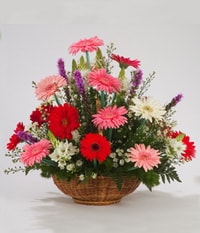 Ankara Balgat Yenimahalle �i�ek�i firma �r�n�m�z Kar���k Gerbera mevsim sepeti �i�e�i Ankara �i�ek g�nder firmas� �ahane �r�n�m�z 