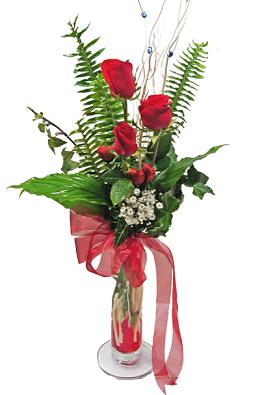 Ankara Balgat �i�ek yolla d�kkan�m�zdan sadece etkileme g�lleri Ankara �i�ek g�nder firmas� �ahane �r�n�m�z 
