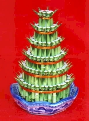 Ankara Balgat ostim �i�ek sipari�i firma �r�n�m�z Lucky Bamboo �ans mele�i �i�e�i bambu �i�e�i