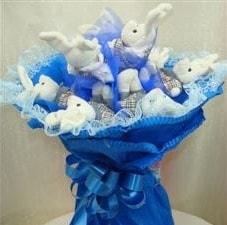 Ankara Balgat hediye firmam�zdan 9 adet tav�anc�kdan tav�an demeti 