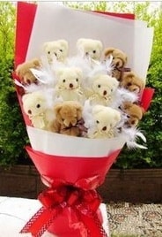 Yeni bebek do�umu anneye hediye 13 adet pelu� oyuncak ay� buketi 