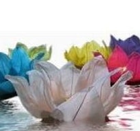 suda y�zen dilek fener 100 Adet kar���k renklerde dilek feneri