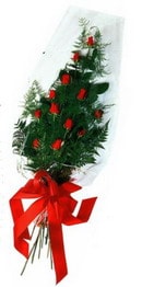 Kaliteli ve fiyat� ucuz bir �r�n g�ller ve asalet �i�e�i
