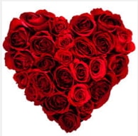 Ankara Balgat uluslararas� �i�ek g�nderme 19 adet k�rm�z� g�lden kalp tanzimi