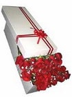 Ankara Balgat de farkl� bir �i�ek firmas� �r�n�  G�rsel �i�ek sunumu 11 adet k�rm�z� g�l