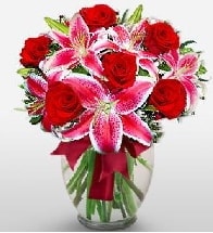 Vazoda 7 adet k�rm�z� g�l ve 2 adet kazablanka