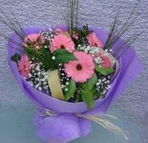 taze gerbera k�r �i�ekleri demeti Ankara �i�ek�ilik g�rsel �i�ek modeli firmam�zdan 